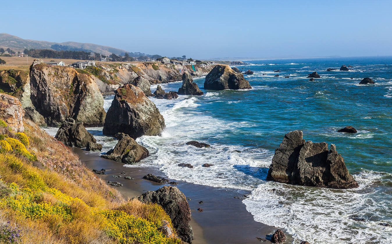 cannabis callout1-1 image